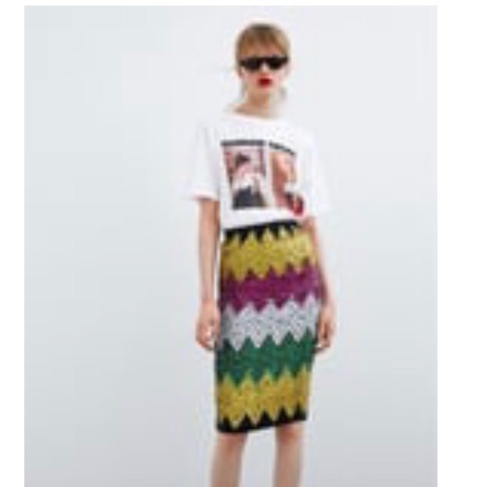 Zara skirt new with tags . Didn’t fit me .